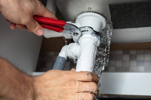 Best Mold removal after water damage  in Lansing, MI