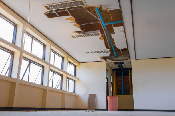 Best Flooded house restoration  in Lansing, MI