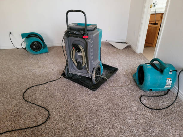 Best Carpet water damage restoration  in Lansing, MI