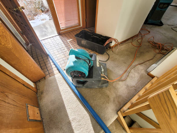 Best Ceiling water damage repair  in Lansing, MI
