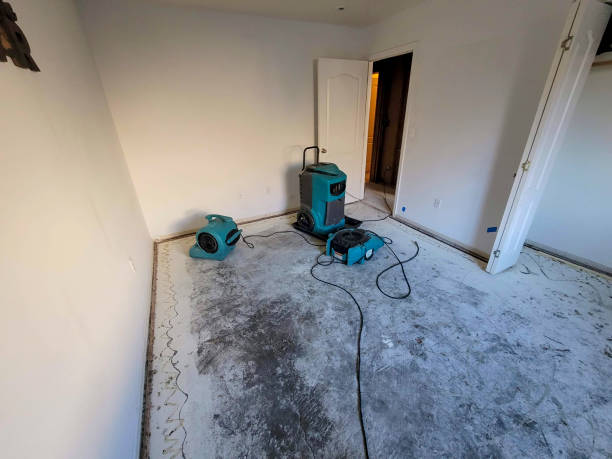 Best Fire Damage Restoration  in Lansing, MI