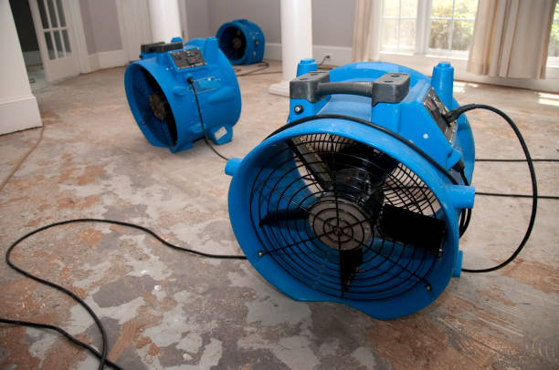Best Flood damage cleanup  in Lansing, MI