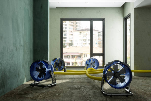 Best Water damage cleanup near me  in Lansing, MI